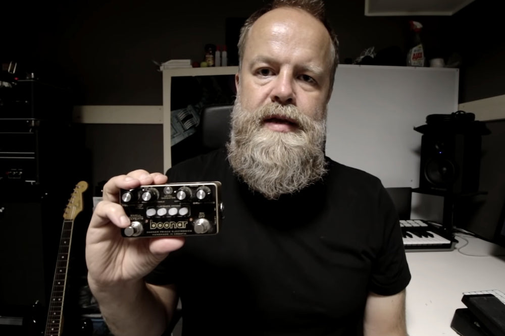 David Gilmour's Echoes seagull sound – Dawner Prince Electronics